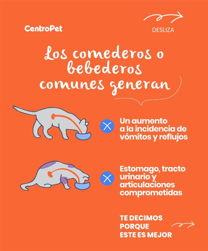 Imagen 2 de 8 de Comedero Bebedero Perros Melanina Elevado Acero Inoxidable