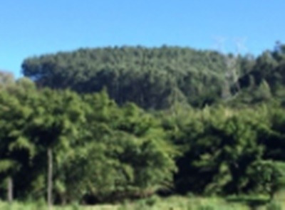 Imagem 4 de 5 de Fazenda Ótima Localização Itatiba - Sp - Jardim Das Nações - V4320