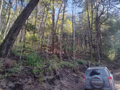 Lote Terreno 1.000m2 En Bosque Vistas Parciales Al Nahuel Huapi El Rincón Ruta 231 Villa La Angostura. Acceso Directo Y Posesión Inmediata!