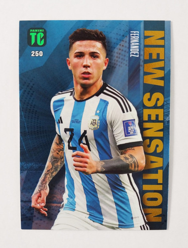 Enzo Fernández New Sensation Carta Panini Top Class 2023 