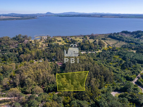 Imagen 1 de 3 de Venta De Lote En Las Cumbres, Punta Ballena - Ref : Pbi1964