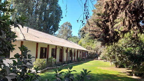 Local Comercial En Arriendo En Buín