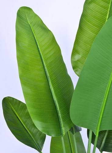 Artificial Planta Palmera Viajera Interior/exterior 1.8m