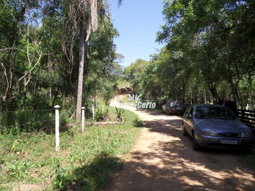 Imagem 4 de 14 de Chácara À Venda, 4000 M² Por R$ 75.000,00 - Rodeio Da Chapada - Balsa Nova/pr - Ch0011