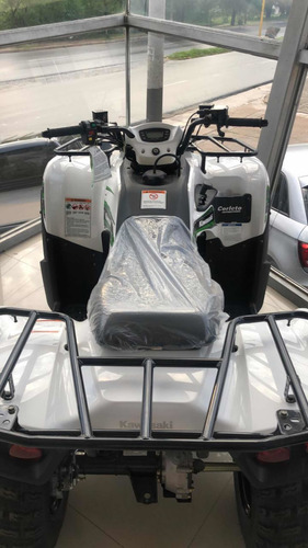 Kawasaki Brute Force 300
