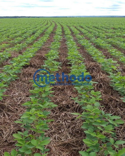 Fazenda - Fa00002 - 68319143