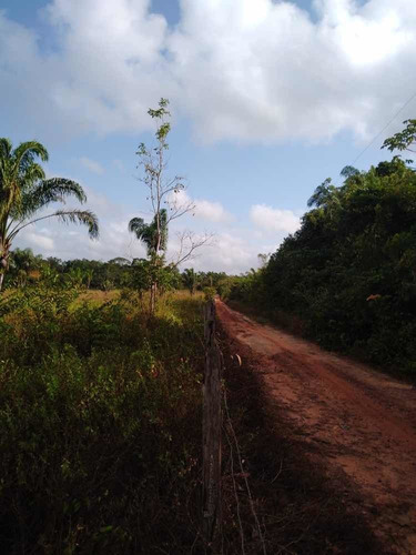 Imagem 4 de 8 de Vendo Terra Produtiva Com Água Corrente