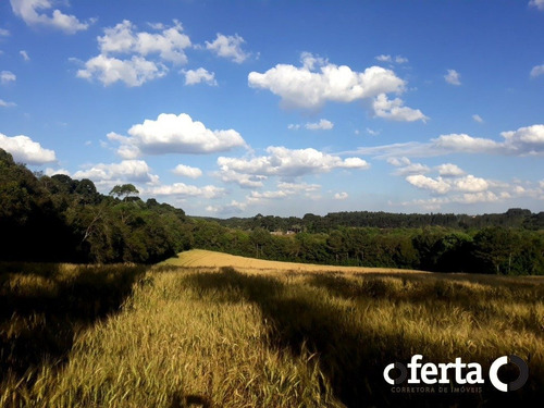 Imagem 8 de 9 de Chacara - Tiete - Ref: 741 - V-741