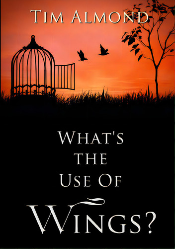 What's The Use Of Wings?, De Almond, Tim. Editorial Lulu Pr, Tapa Blanda En Inglés