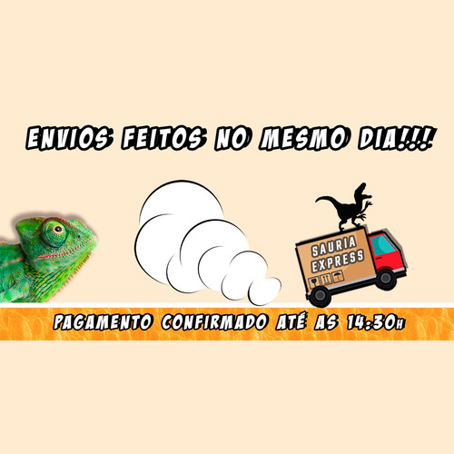 Imagem 2 de 2 de Ração Super Premium Para Jabutis 280g - Megazoo