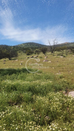 Sitio En Venta En Tiltil