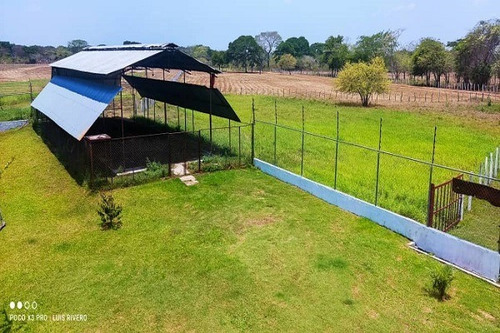 Imagen 9 de 11 de Rp Asein1110 Vende Hermosa Finca En Achagua, Estado Apure. Venezuela