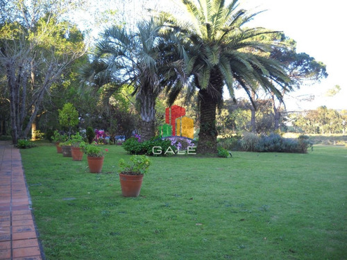 Imagen 7 de 30 de Venta Chacra Punta Del Este - Zona Rural