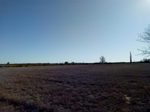 Imagen 17 de 26 de Venta Campo 103 Ha General Alvear