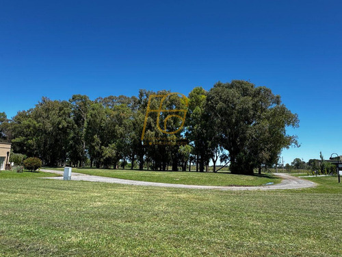 Venta Lote Horizontes Al Sur Canning