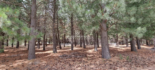 Lote En Venta En El Pegual