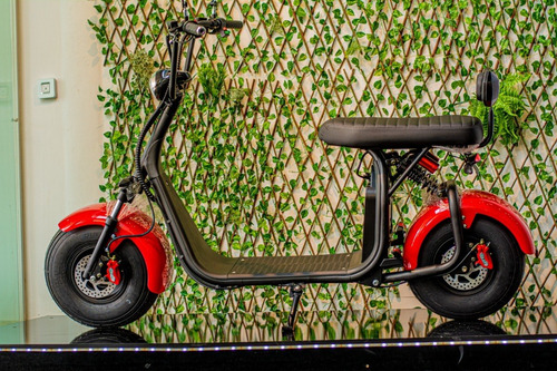 Imagem 1 de 13 de Scooter Eletrica 1500 Gloov