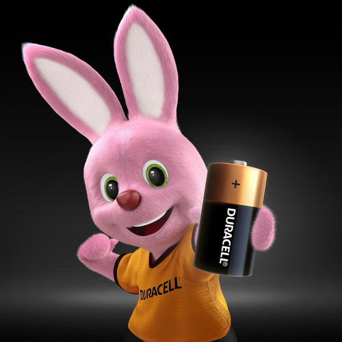 02 Pilhas C Média Lr14 Alcalina Duracell 1 Cartela