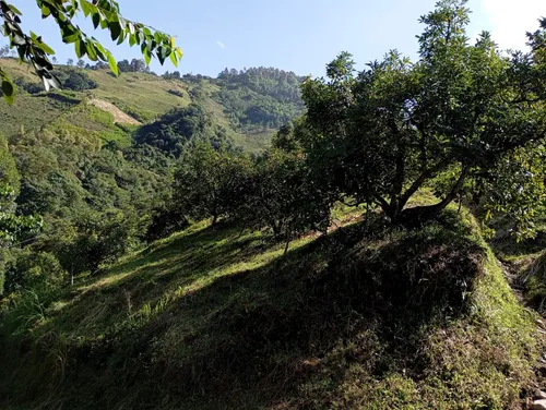 Finca Via Juntas - Ibagué