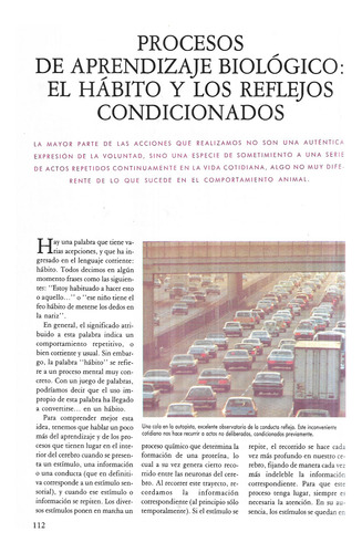 C. Para El Desarrollo Inteligencia Top Memory / Téc. Vol. 1 (Usado)