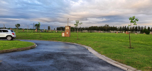 Imagen 5 de 6 de Excelente Lote 726m2 San Felipe