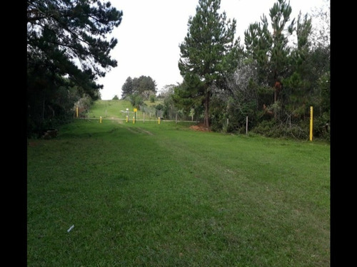 Chácara 5.000 M² - Morungava - Gravataí - Rs - 1916 - 32875112