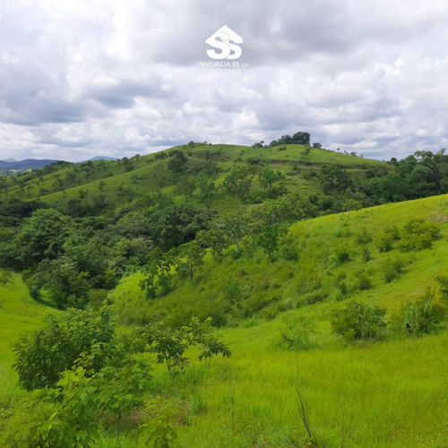 Finca En Venta - Guárico - Granja De Porcina