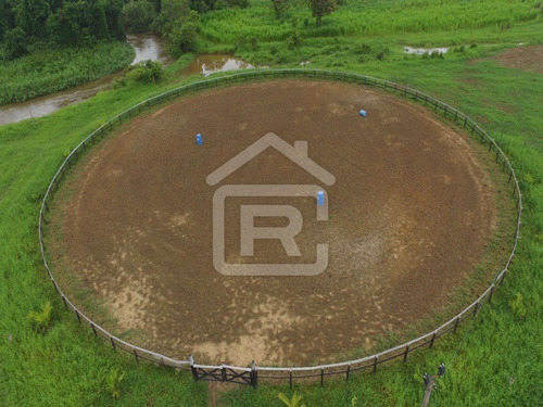 Imagem 3 de 21 de Fazenda - 229 - 70651803