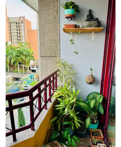 Apartamento Penhouse Duplex En Laureles