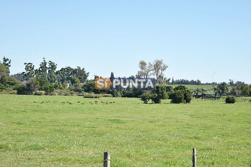 Imagen 17 de 19 de Chacra San Carlos Ruta 9