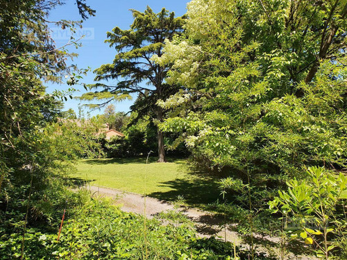 Imagen 8 de 26 de Excelente Lote-terreno Arbolado En Venta - San Isidro - Las Lomas