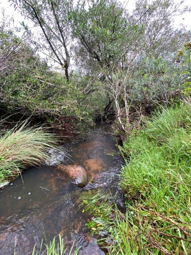 Imagen 2 de 4 de Venta De Campo, Maldonado - Mataojo - 33hs - Zona Rural