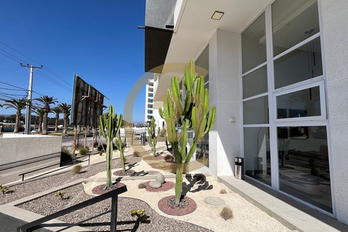 Arriendo Departamento Estudio En La Serena