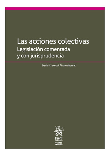 Acciones Colectivas. Legislación Comentada Y Jurisprudencia