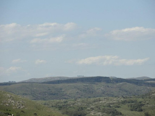 Campo En Venta En Las Cañas