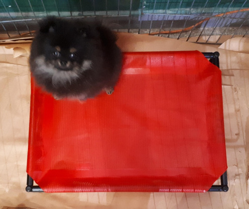 Catre Para Mascotas ( Chico)