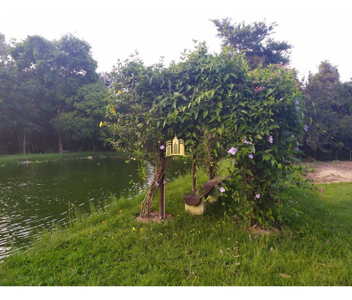 Imagem 3 de 30 de Sitio Em Boa Vista - Esmeraldas - St00068 - 34802218