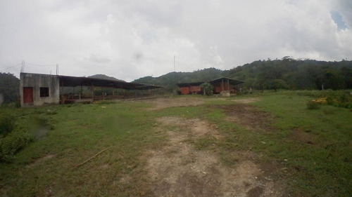 Imagen 5 de 30 de Finca En Venta San Felipe 1500 Ha, #23-14481