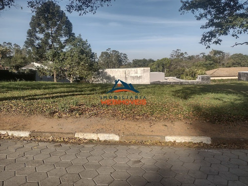 Imagem 8 de 12 de Terreno - Te00021 - 69336091