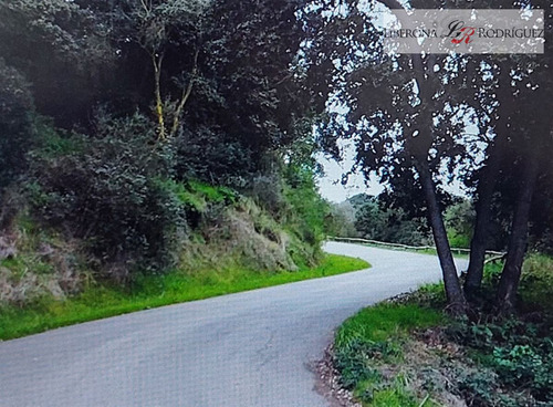 Sitio En Venta En Las Gaviotas, Concón