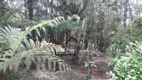 Imagem 13 de 14 de Chácara Apenas 1 Km Do Centro De Embu- Guaçu