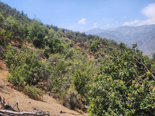 El Arrayan (100810)