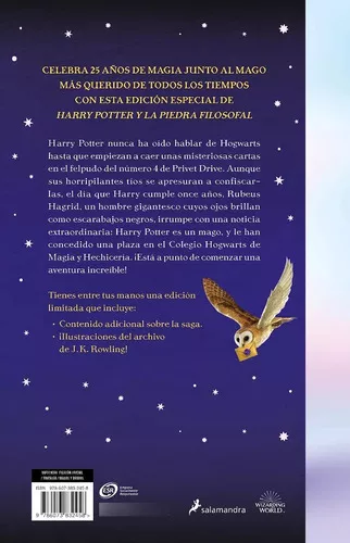 Qué supuso la publicación de 'Harry Potter y la piedra filosofal' hace 25  años - Infobae