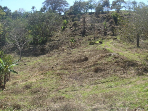 Imagen 5 de 5 de 3 Ha Atenas - Sabana Larga