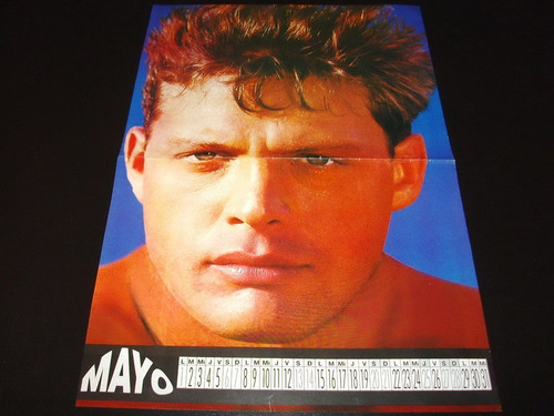 Poster Luis Miguel * Ambos Lados * 41 X 28 (j065)