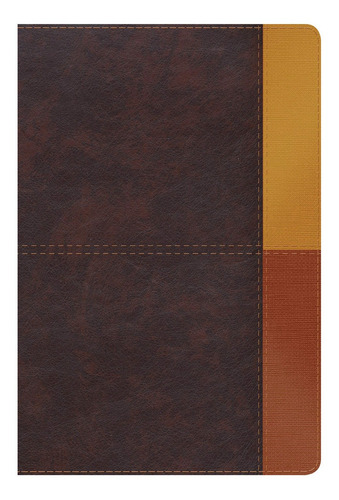 Imagen 1 de 1 de Biblia De Estudio Arcoiris Rvr60 Símil Piel Tres Tonos Café