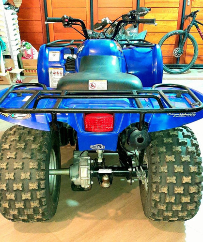 Imagen 2 de 12 de Yamaha 250 Big Bear/permuto Solo Por Raptor 250 Mismo Estad
