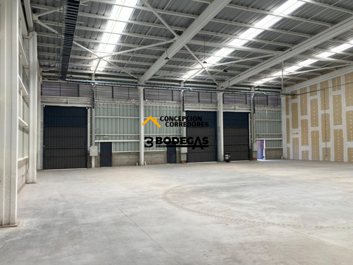 Arriendo Bodega Nueva De 600 M2 En Lo Espejo Con Ruta 5.
