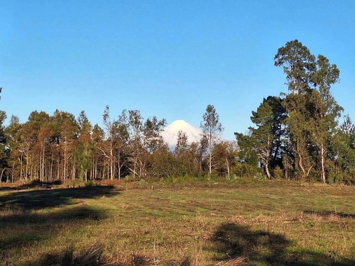 Parcelas Villarrica - Refugio Las Loicas (145776)