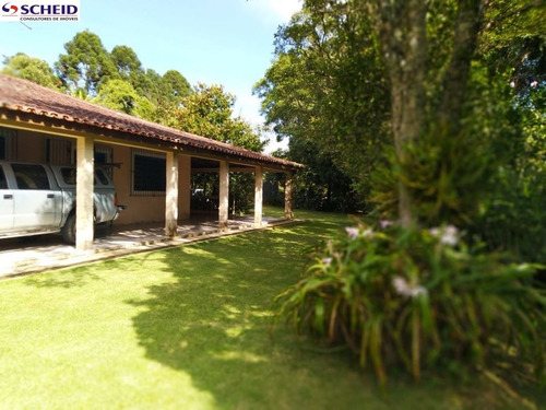 Imagem 10 de 15 de Sitio São Jorge - Mc6487